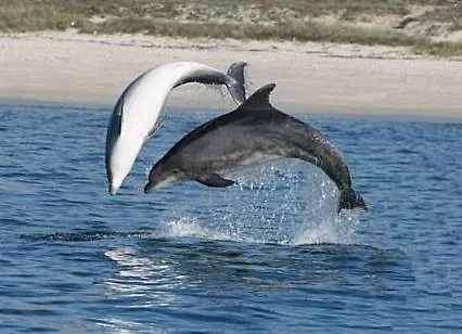 Casa Independiente Bella Vista