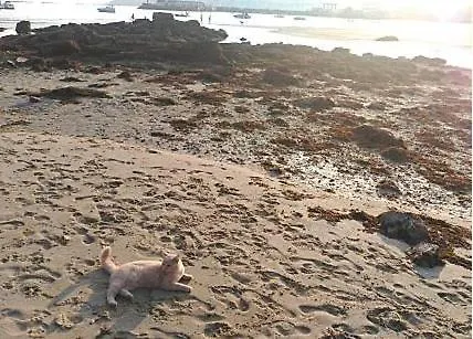 Nyaraló Casa Independiente Bella Vista