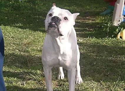 Casa Independiente Bella Vista *