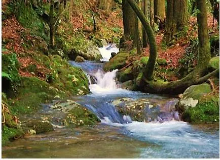 Casa Independiente Bella Vista * Moaña